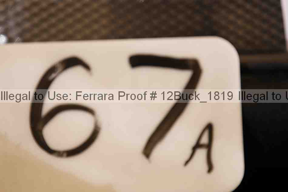 Proof 12buck_1819