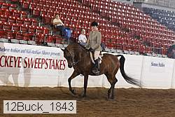 12buck_1843 proof