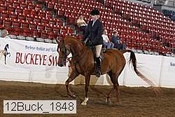 12buck_1848 proof