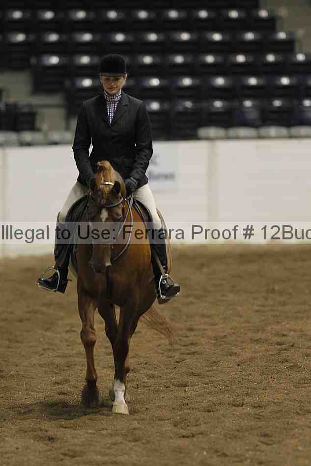 Proof 12buck_1851