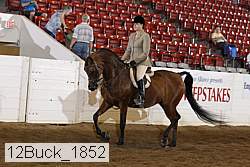 12buck_1852 proof
