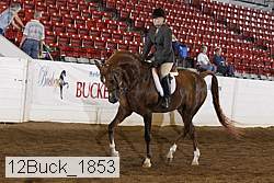 12buck_1853 proof