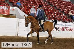 12buck_1855 proof