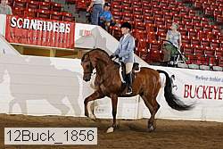 12buck_1856 proof