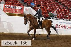 12buck_1861 proof