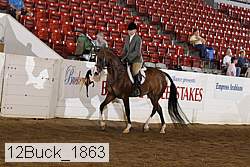 12buck_1863 proof