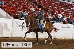 12buck_1866 proof