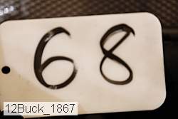 12buck_1867 proof