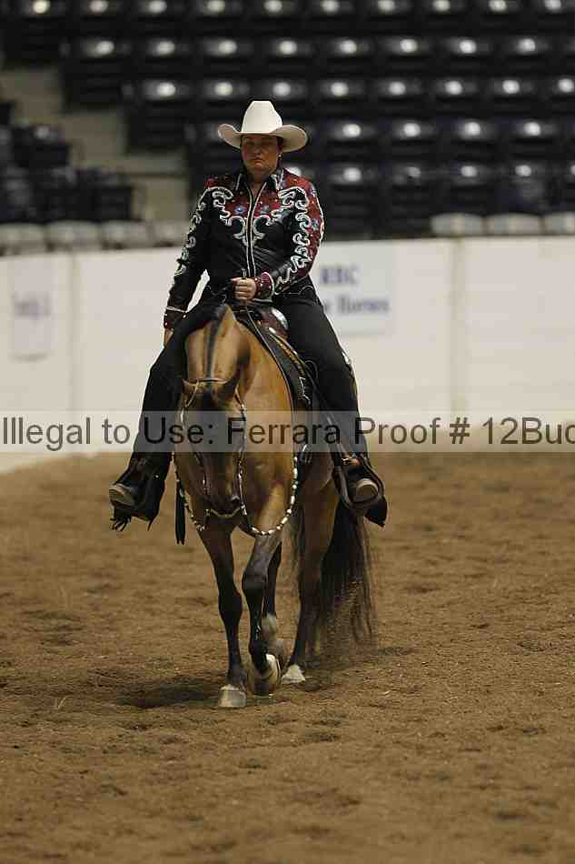 Proof 12buck_1871
