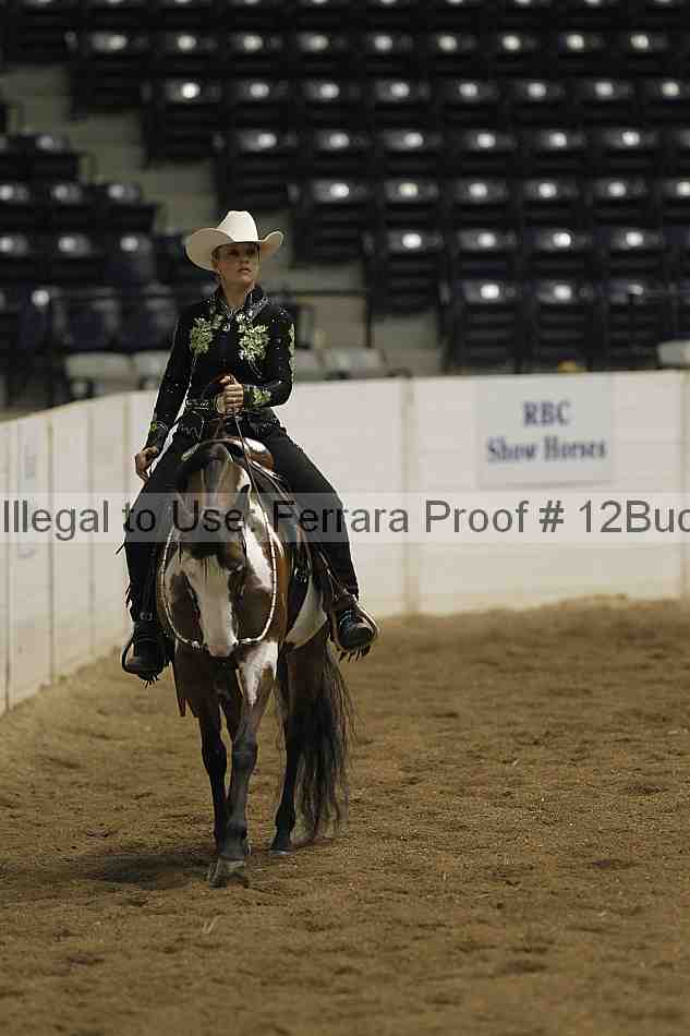 Proof 12buck_1873