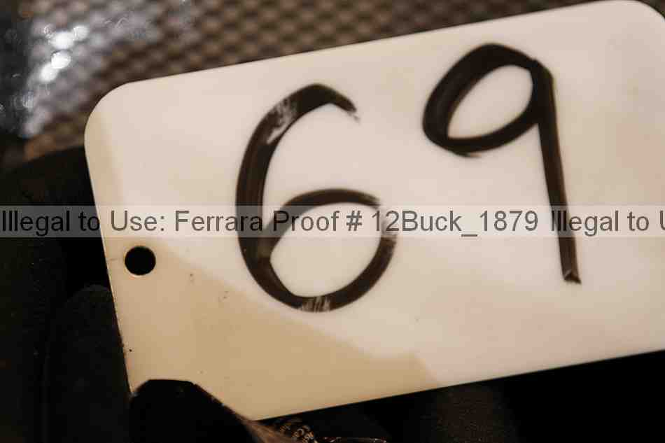 Proof 12buck_1879