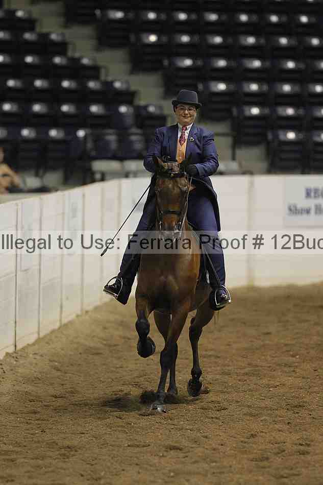 Proof 12buck_1893