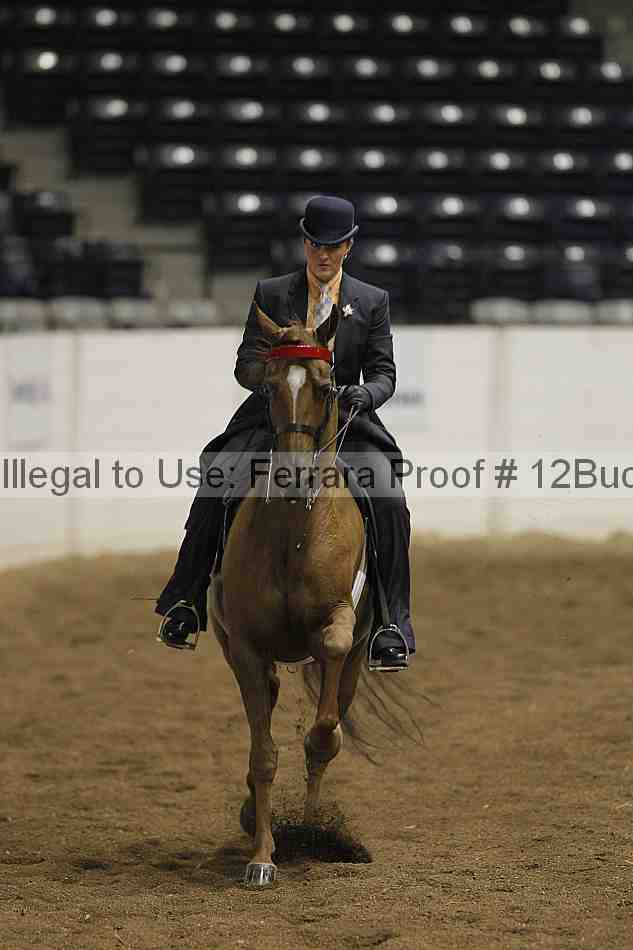 Proof 12buck_1896