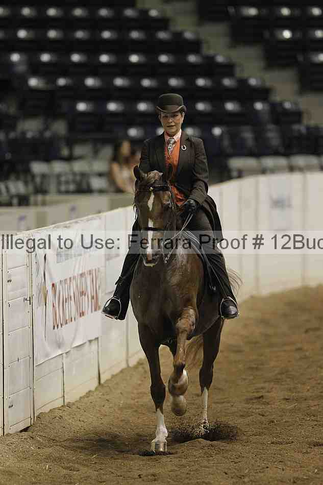 Proof 12buck_1899