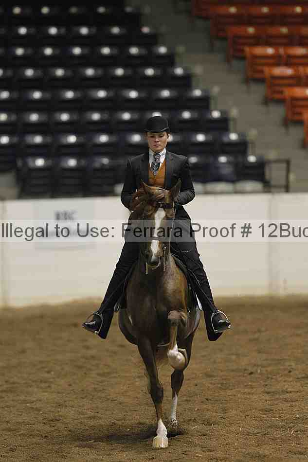 Proof 12buck_1904