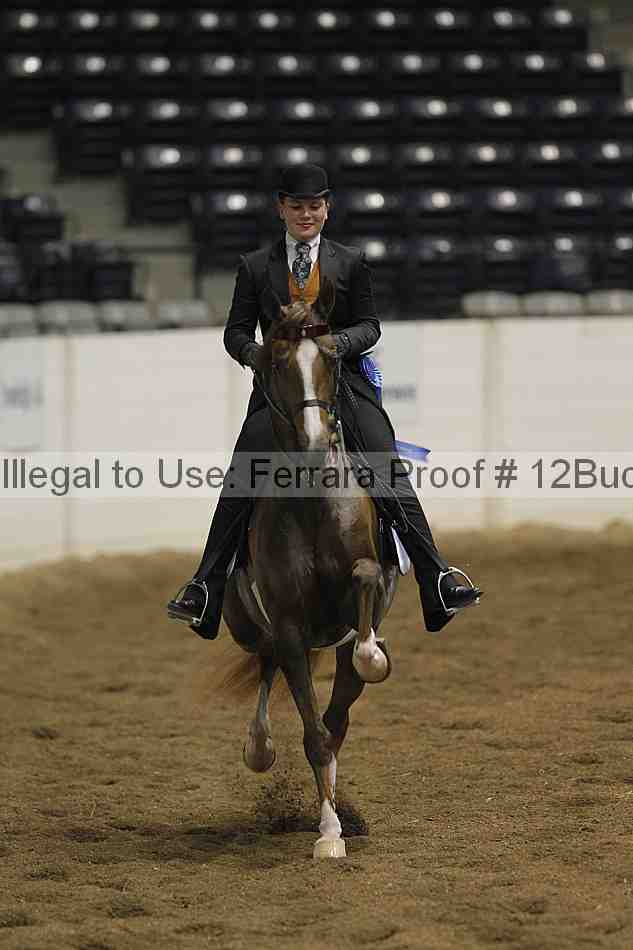 Proof 12buck_1909