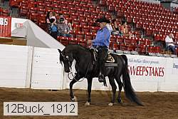 12buck_1912 proof