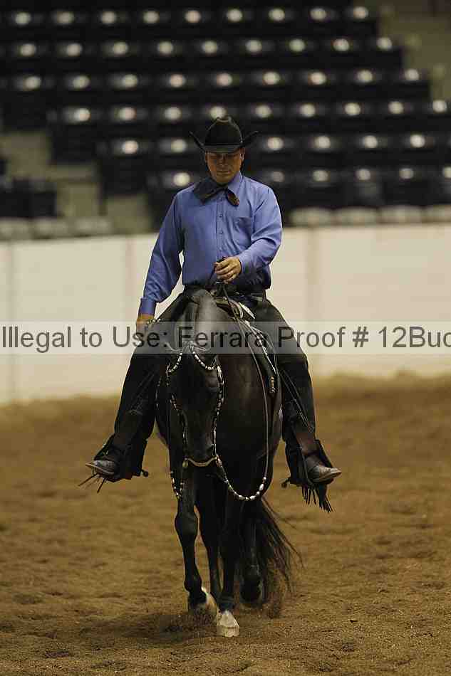 Proof 12buck_1916