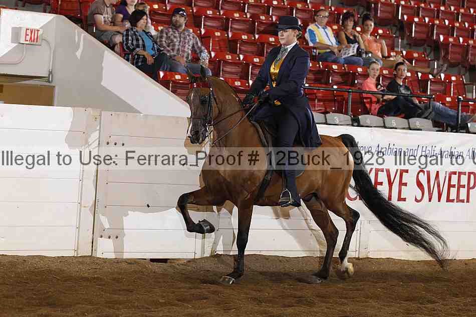 Proof 12buck_1928