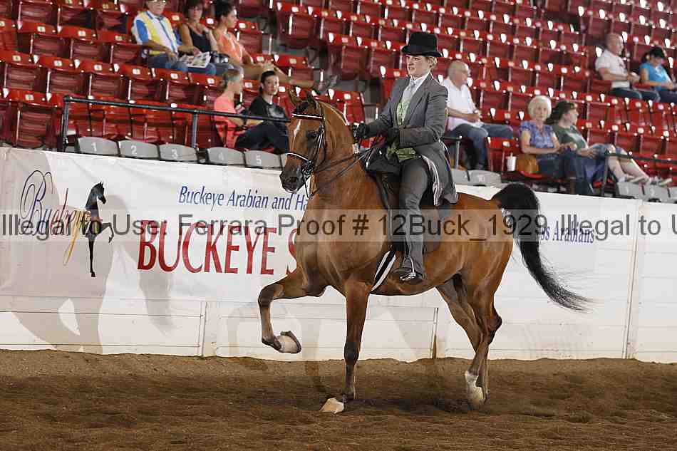 Proof 12buck_1929