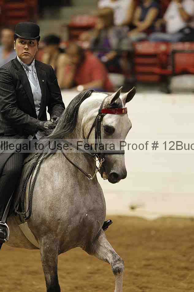 Proof 12buck_1959