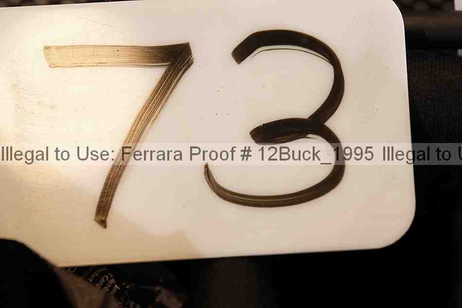 Proof 12buck_1995