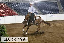12buck_1996 proof
