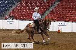 12buck_2000 proof