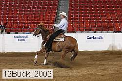 12buck_2002 proof