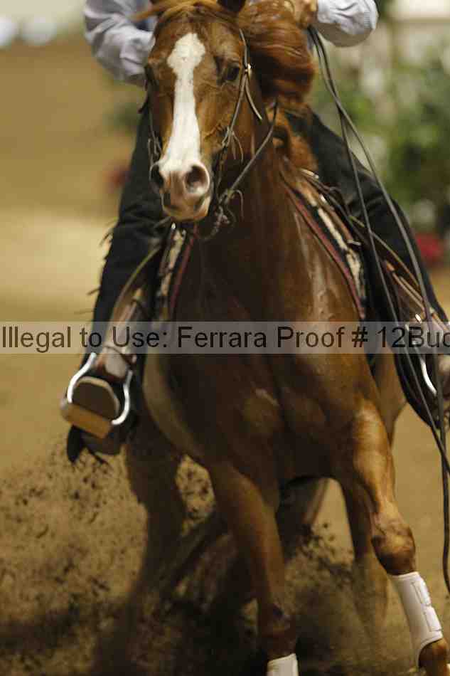 Proof 12buck_2003