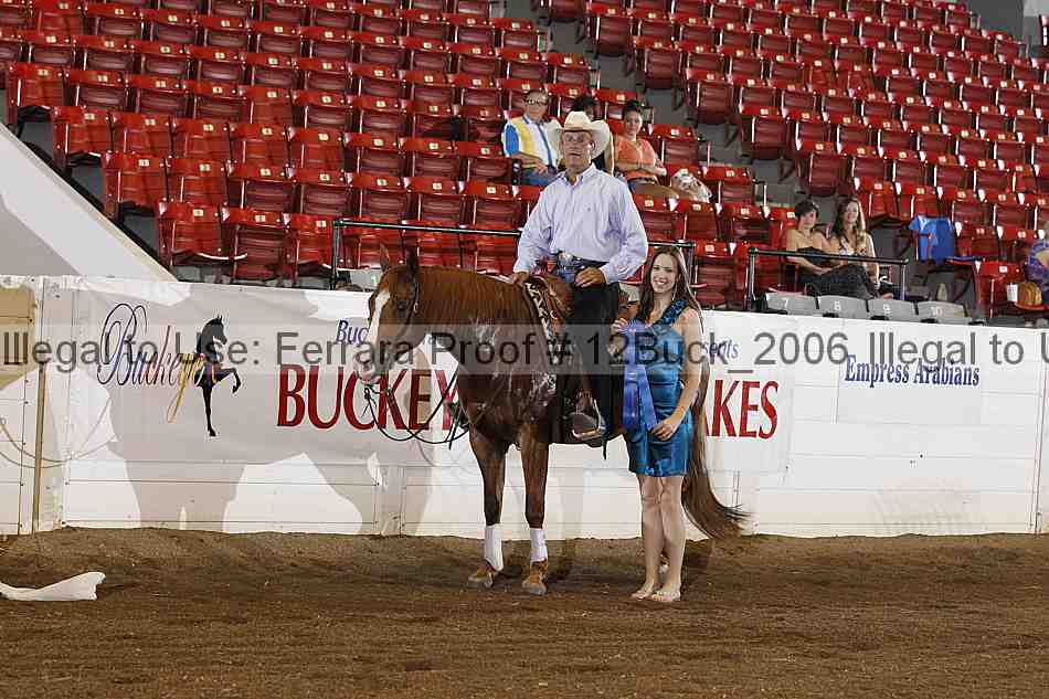 Proof 12buck_2006