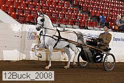12buck_2008 proof