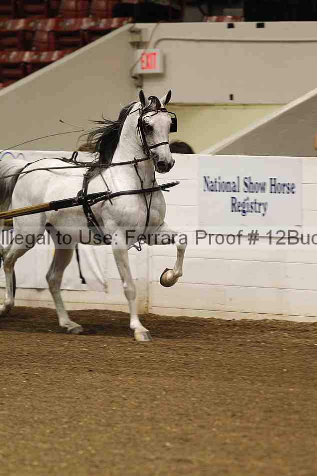 Proof 12buck_2009