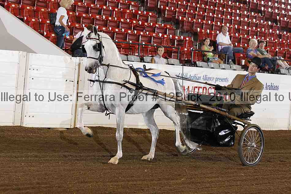Proof 12buck_2010