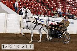 12buck_2010 proof