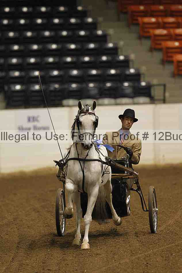 Proof 12buck_2011