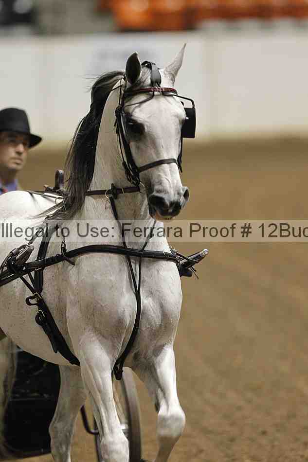Proof 12buck_2013