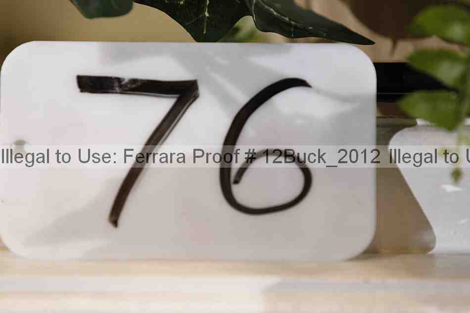 Proof 12buck_2012
