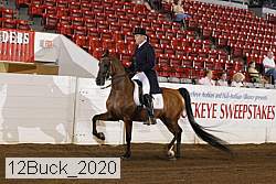 12buck_2020 proof