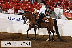 12buck_2031 proof