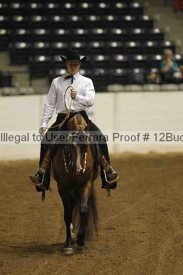 Proof 12buck_2034