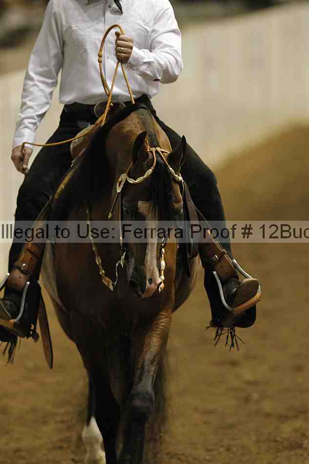 Proof 12buck_2035