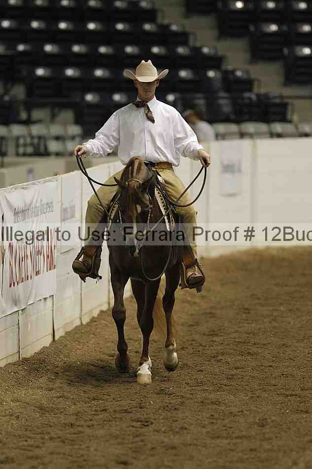 Proof 12buck_2037