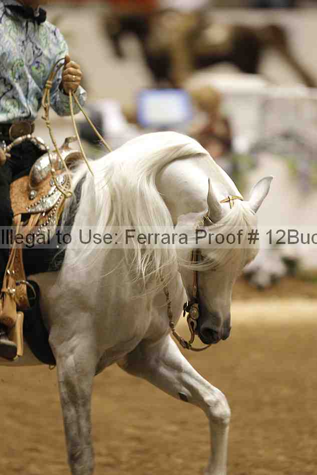 Proof 12buck_2039