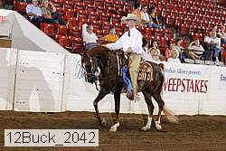 12buck_2042 proof
