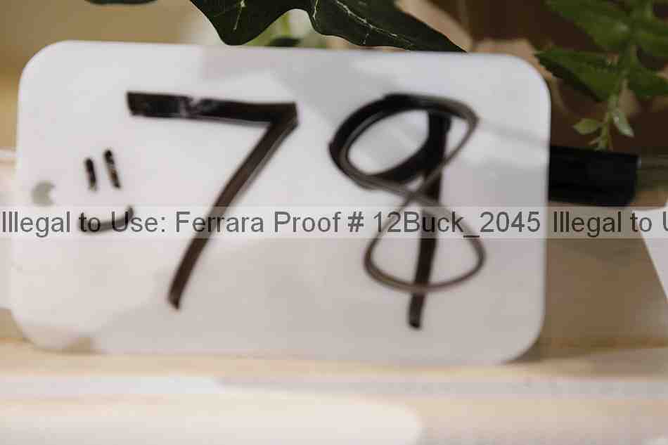 Proof 12buck_2045
