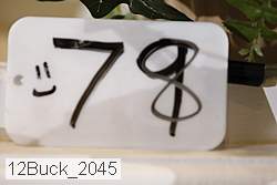 12buck_2045 proof