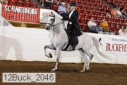 12buck_2046 proof