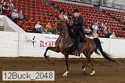 12buck_2048 proof