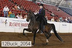 12buck_2054 proof